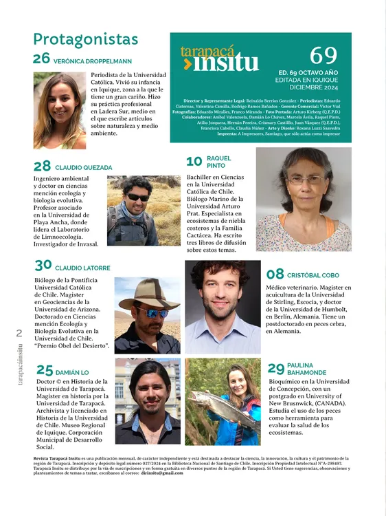 PAGINAS IN SITU 69 MEDIA2