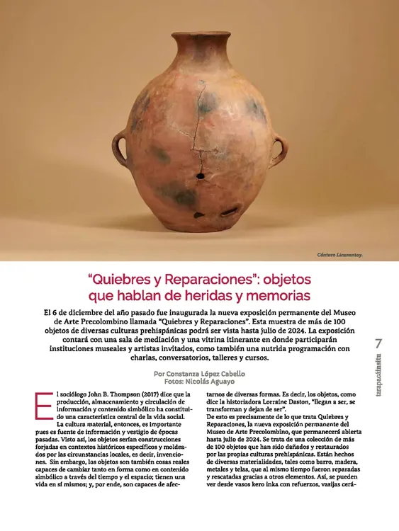 PAGINAS IN SITU 58 CALIDAD MEDIA_Página_07