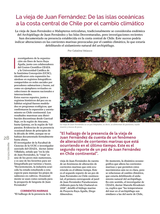 PAGINAS INSITU 72 PNG28