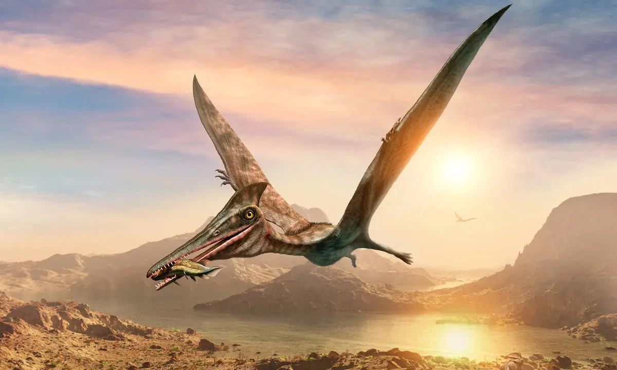 pterosaurio 1