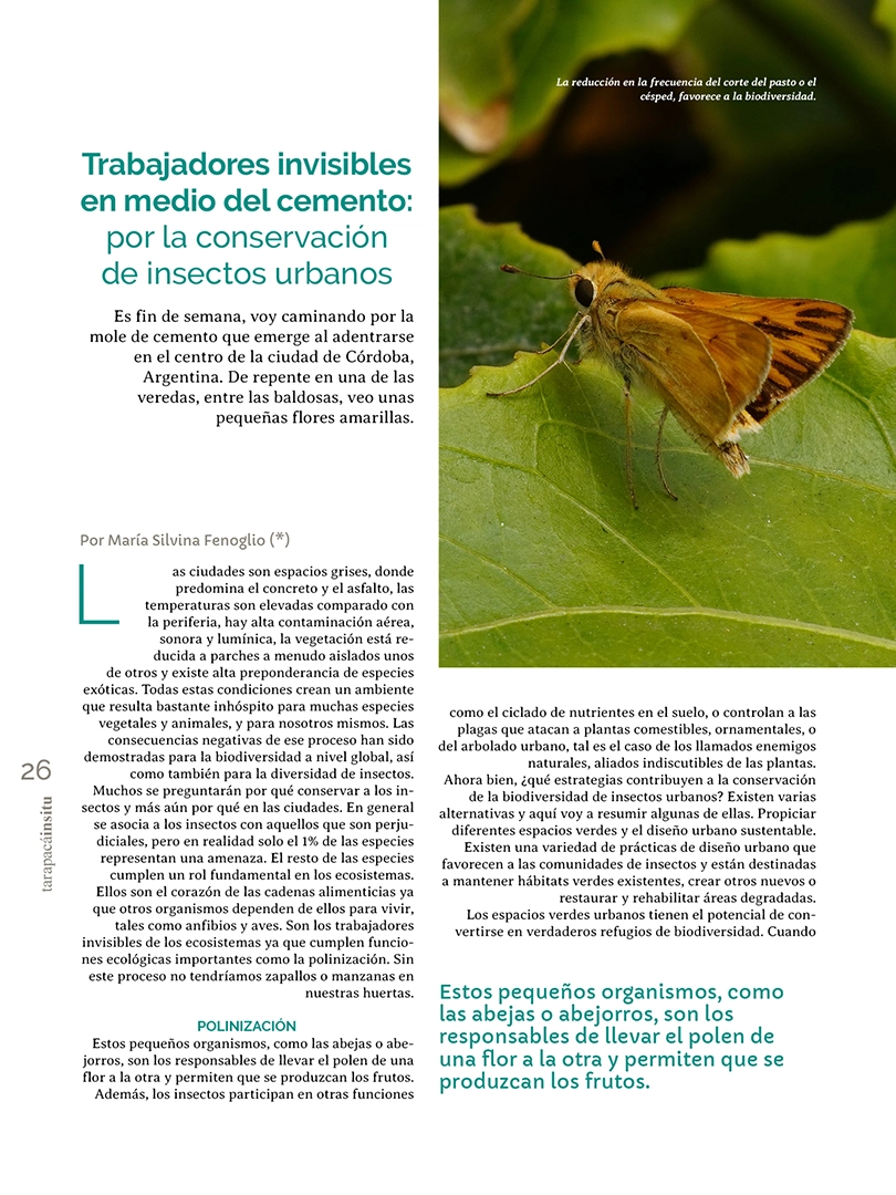 Revista Tarapacá Insitu ed 55 - Página 26