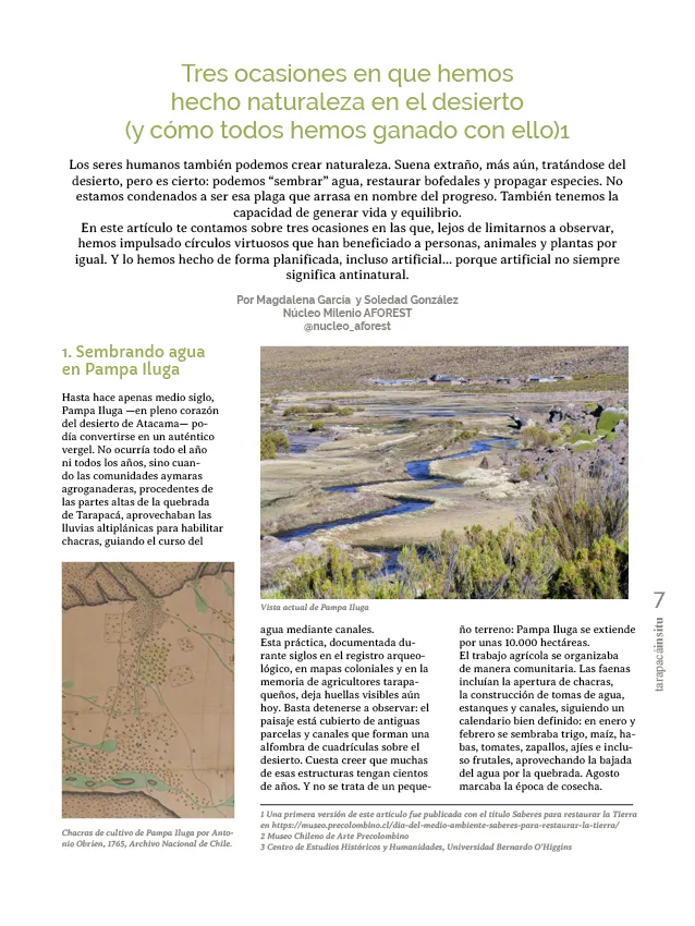 PAGINAS INSITU 78 PNG7
