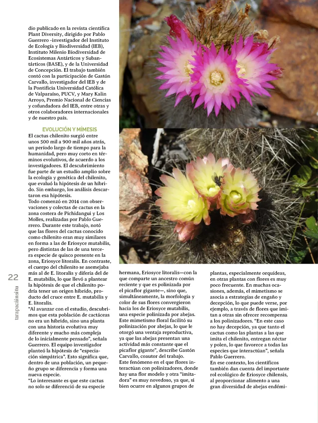 PAGINAS INSITU 78 PNG22