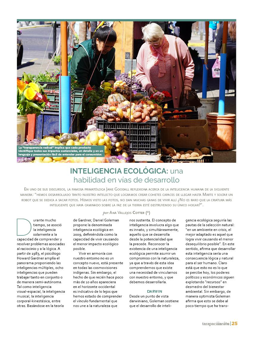 Revista Tarapacá Insitu ed48 - página25
