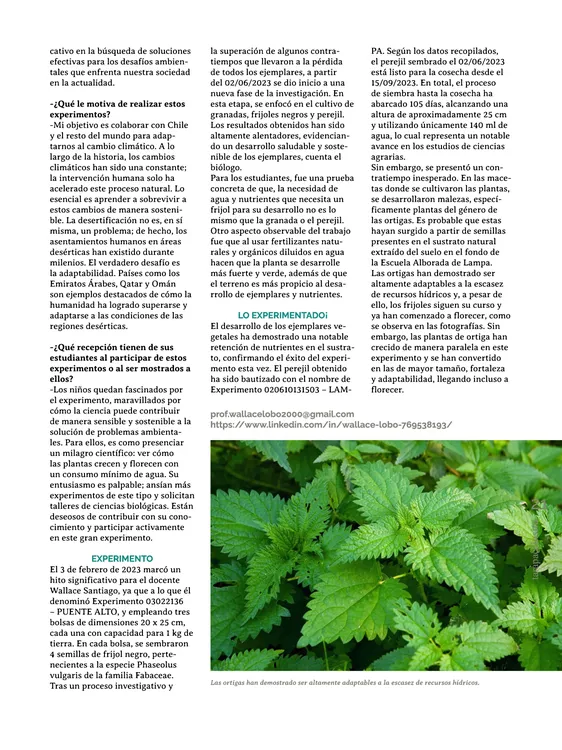 PAGINAS IN SITU 59 MEDIA21