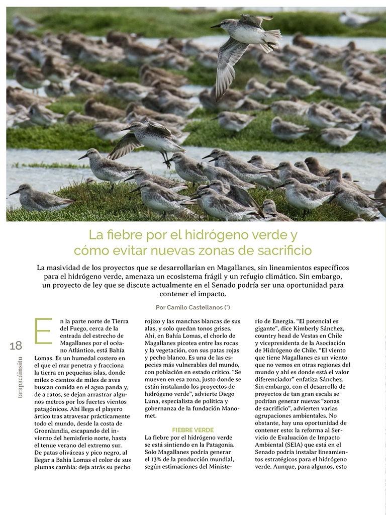 PAGINAS IN SITU 65 P18