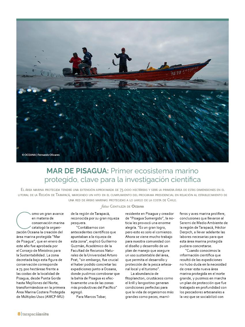 Revista Tarapacá Insitu Ed46 - Página 08