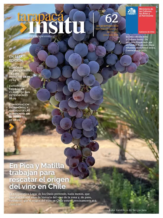 PAGINAS IN SITU 62 PNG