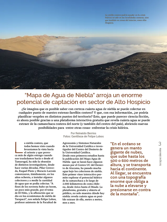 PAGINAS INSITU 78 PNG3