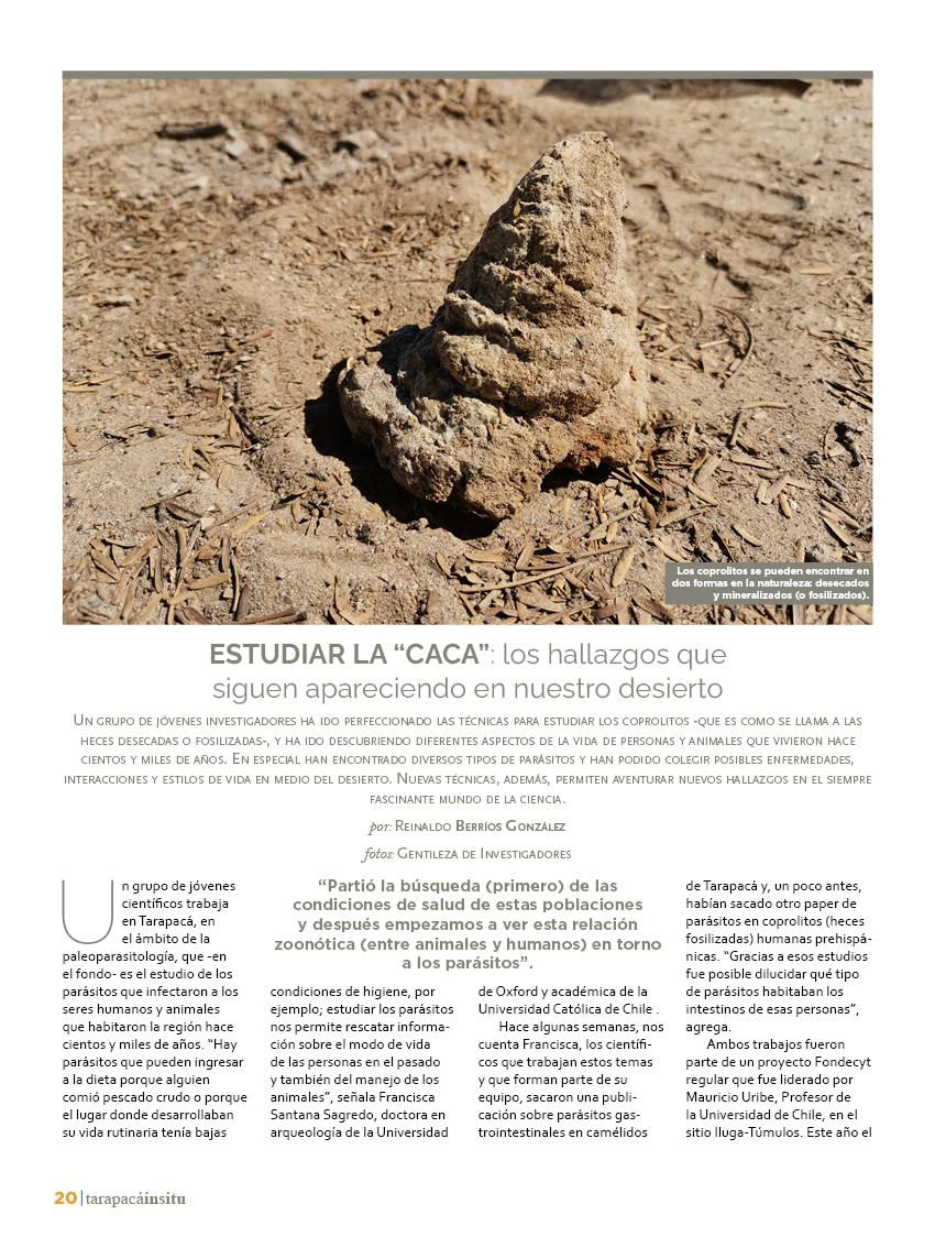 Revista Tarapacá Insitu ed49 - Página20