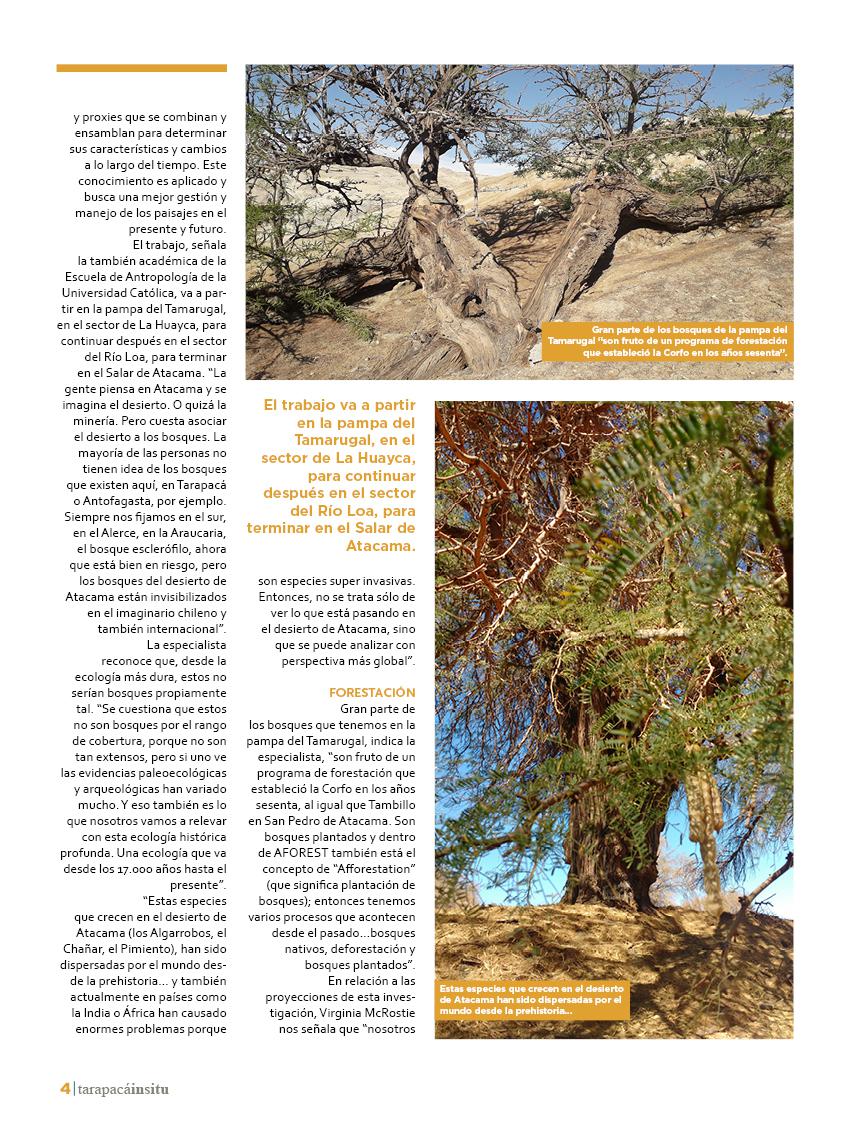 Revista Tarapacá Insitu ed45 - Página4