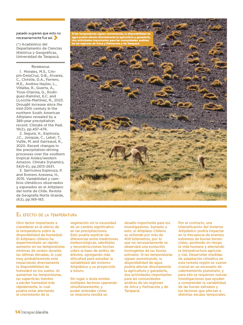 Revista Tarapacá Insitu ed50 - Página 14