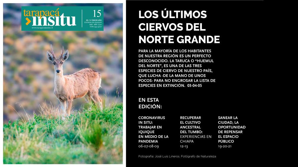 TI-ed15-Portada-2