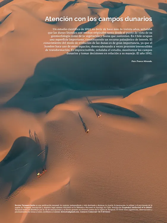 Tarapacá Insitu ed53 - Página 3