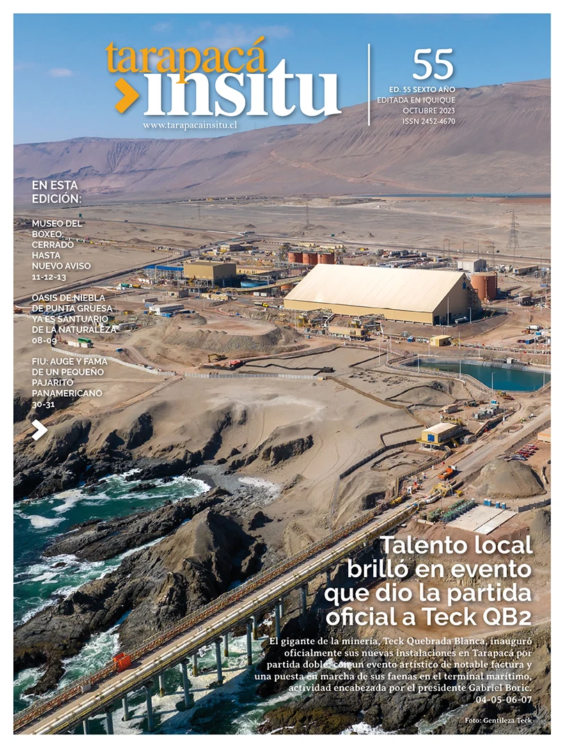Revista Tarapacá Insitu ed 55 - Portada