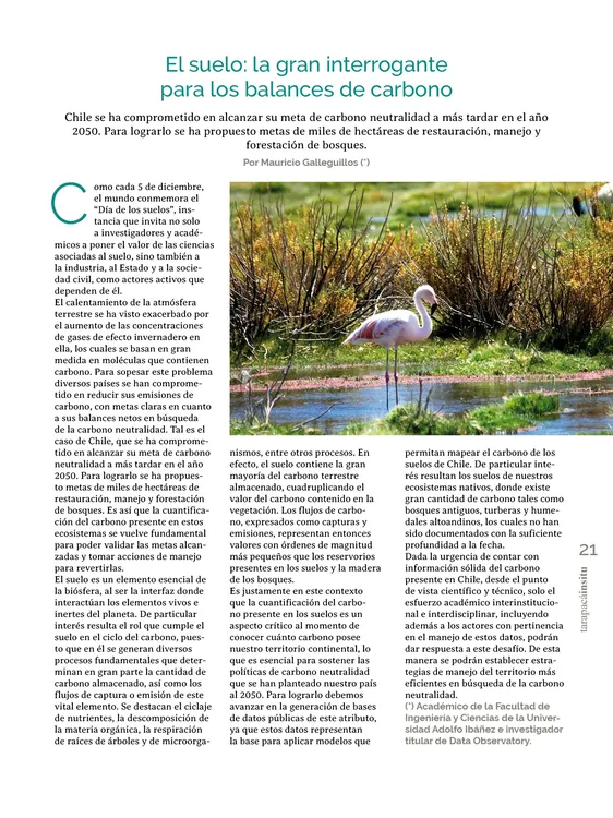 PAGINAS IN SITU 68 MEDIA21