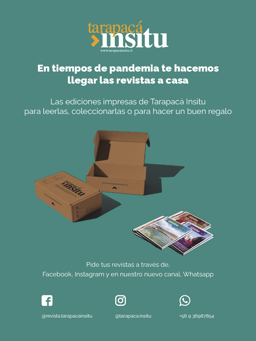 Revista Tarapacá Insitu Edición 38 - Contraportada