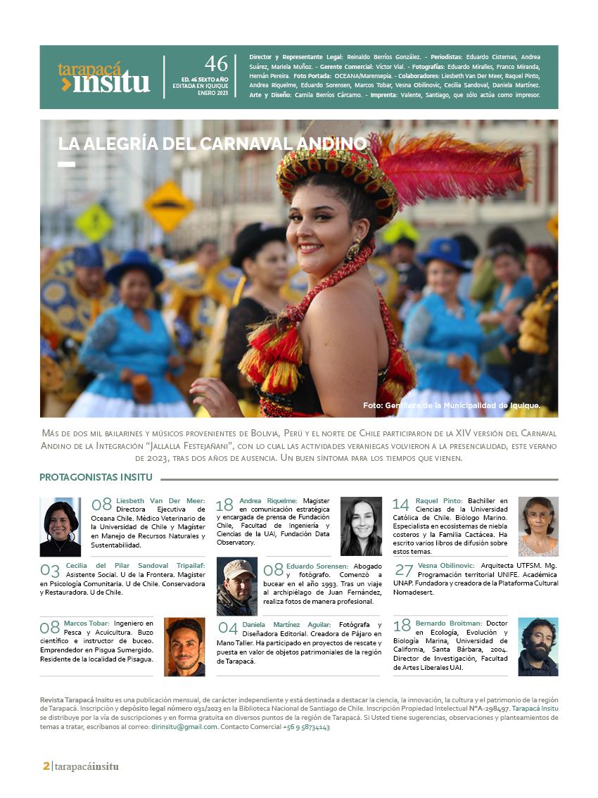 Revista Tarapacá Insitu Ed46 - Página 02