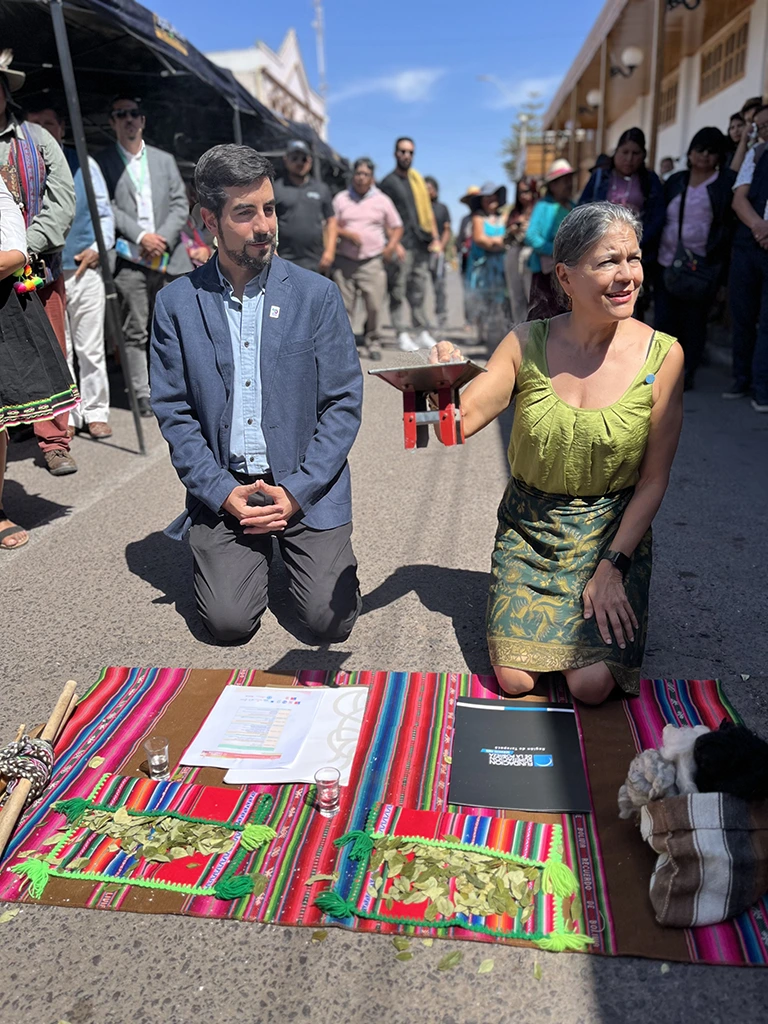 Cumbre Camélida SIPAN 