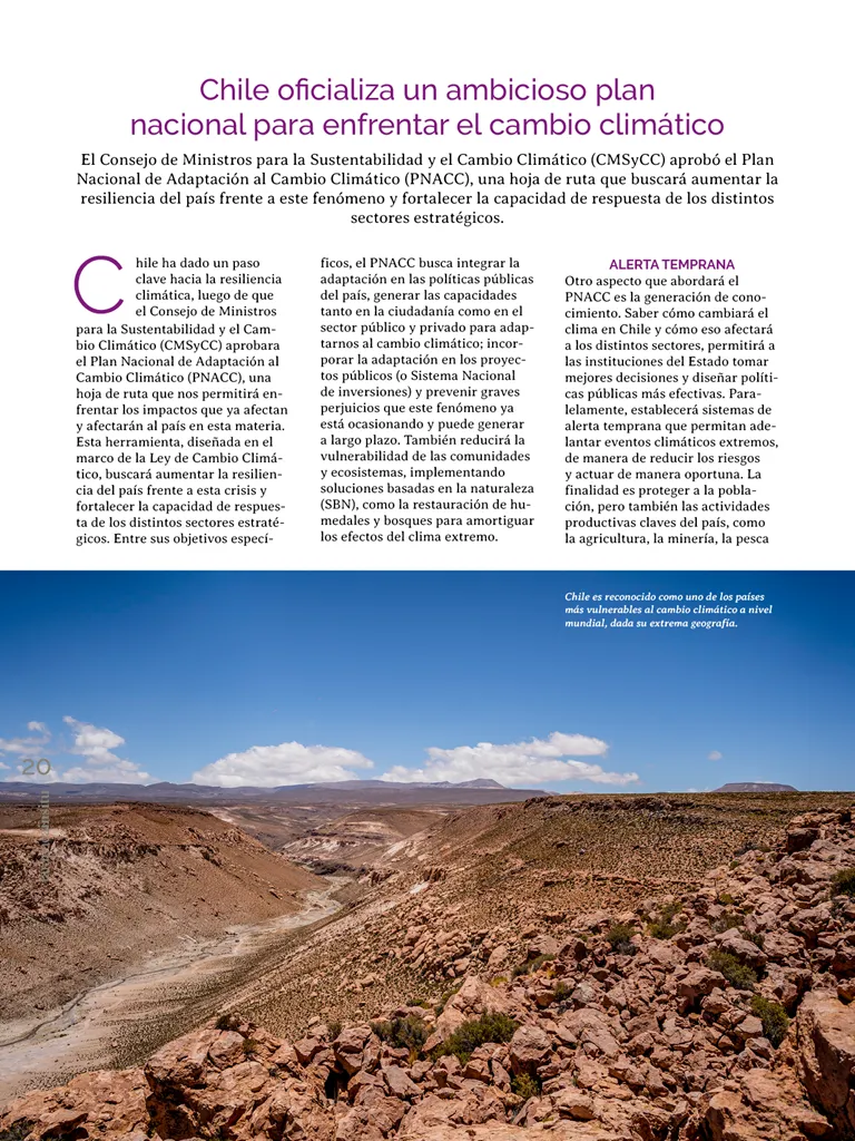 PAGINAS INSITU 71 MEDIA20