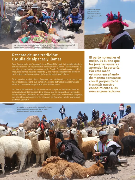 PAGINAS IN SITU 68 MEDIA5