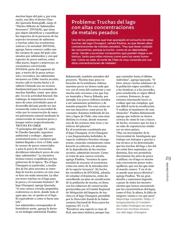 PAGINAS IN SITU 69 MEDIA29