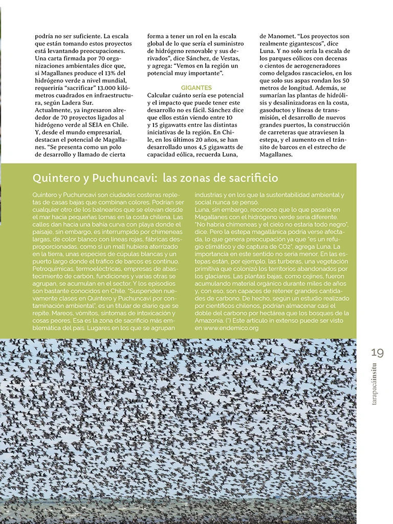 PAGINAS IN SITU 65 P19