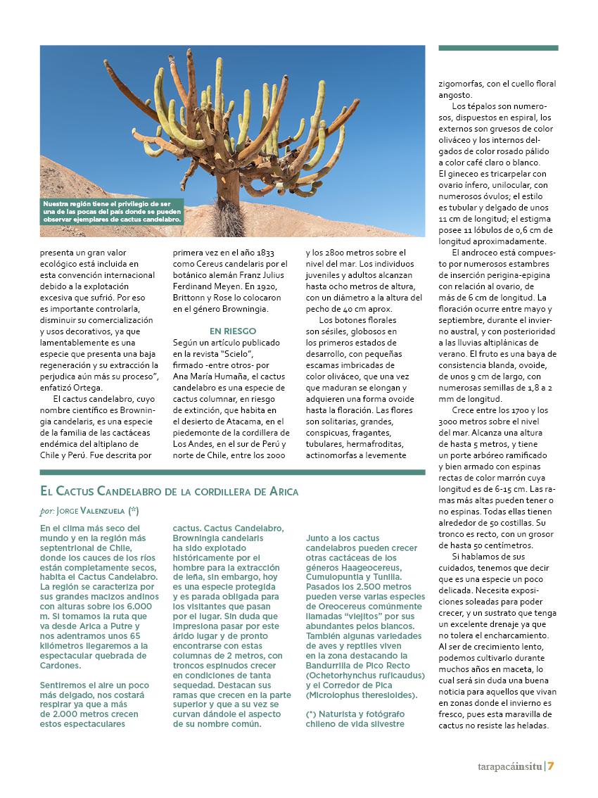 Revista Tarapacá Insitu ed45 - Página7