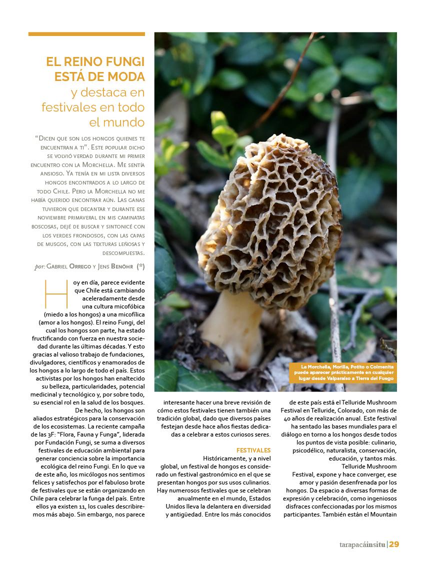 Revista Tarapacá Insitu Ed44 - Página29