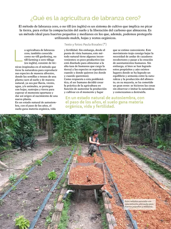 PAGINAS IN SITU 59 MEDIA18